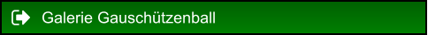 Galerie Gauschützenball